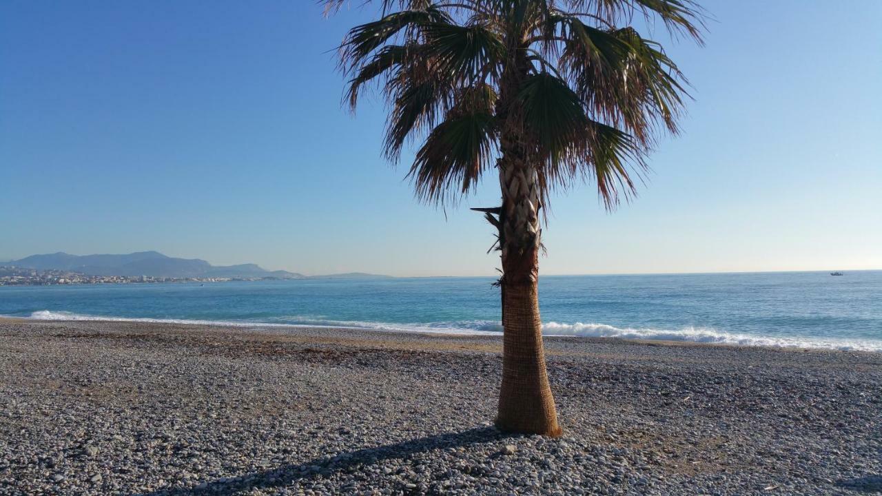 Residence Cap Azur Appartement 228 Villeneuve-Loubet Eksteriør billede